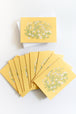 Chamomile