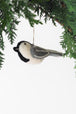 Chicadee