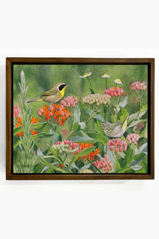 Common Yellowthroats and Butterfly Weed