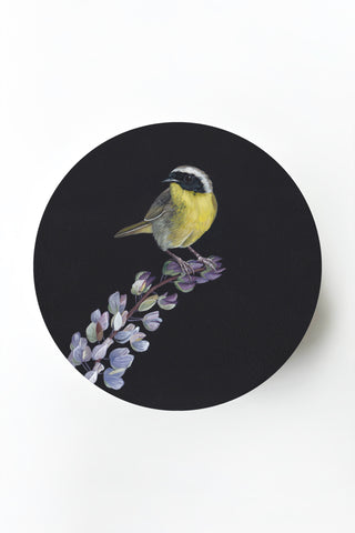 Common Yellowthroat & Lupine