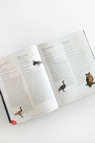 Complete Language of Birds