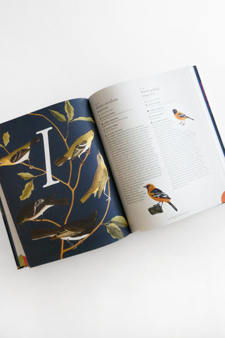 Complete Language of Birds