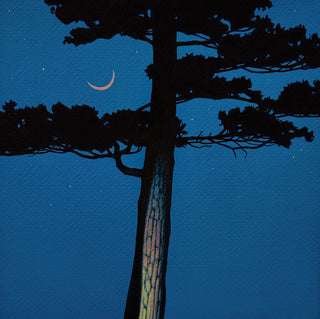 Conifer with Crescent Moon 1