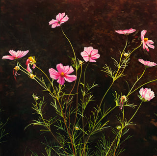 Cosmos