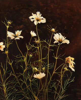 Cosmos II