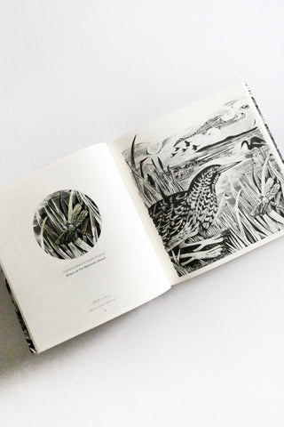 Countryside Coloring Book