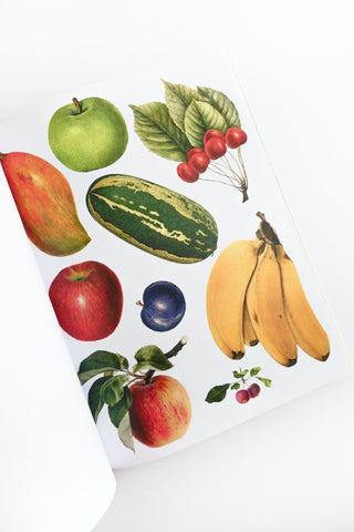 Cut-out Curiosities: Botanica: A Collage Book
