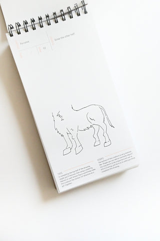 Open book with line drawing of a horse on a white surface