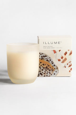 Driftwood Baby Boxed Glass