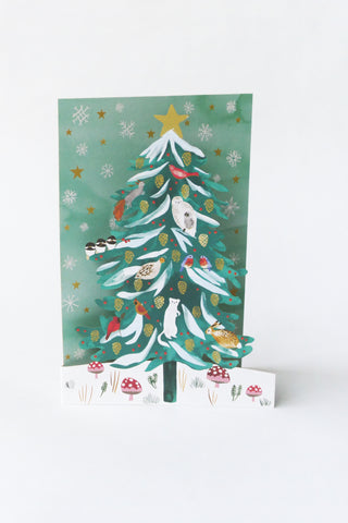 Enchanting Conifer Holiday Card Pack
