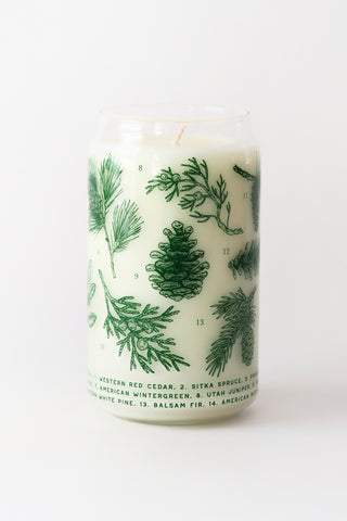 Evergreens & Conifers Field Guide Candle