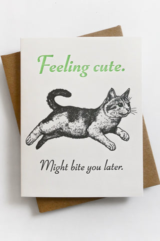 Feeling Cute Kitten Greeting Card