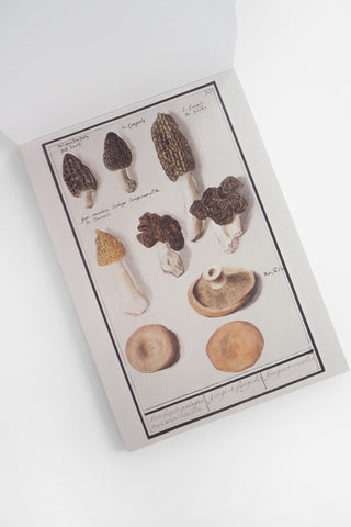 Foods Collage Paper Pad