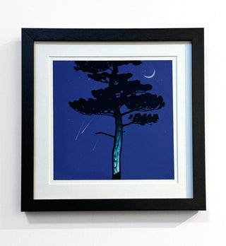 Falling Stars and Crescent Moon with Conifer
