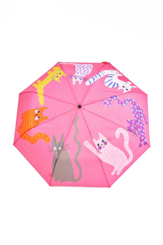 Eco Friendly Umbrella