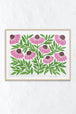 Echinacea