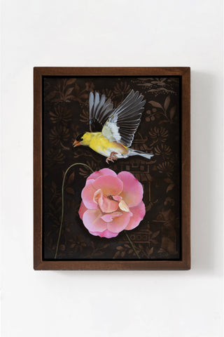 Framed artwork of a bird and pink flower on a white background