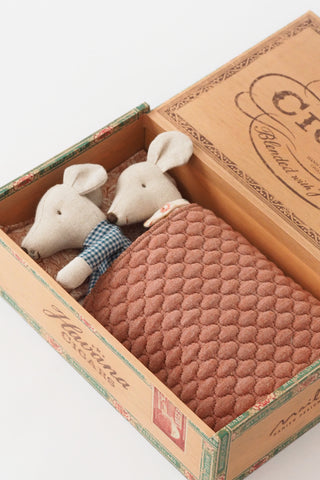 Grandma + Grandpa Mice in Cigarbox