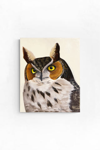 Great Horned Owl