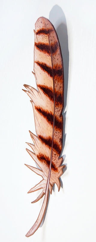 Great Horned Owl Feather