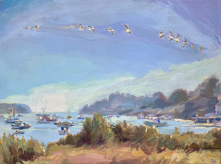 Gull over Bailey Island