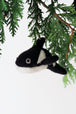 Orca