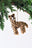 Larry the Leopard
