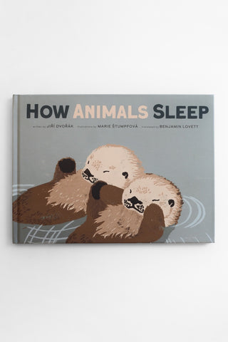 How Animals Sleep