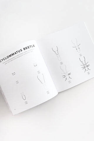 How To Draw Bugs For Kids