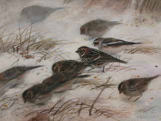 Painting of birds on a snowy ground with grass.