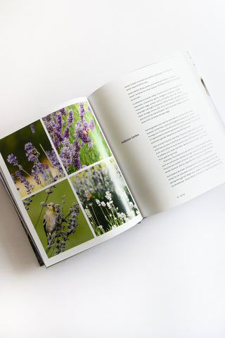 Lavender: 50 Self-Care Recipes and Projects For Wellness