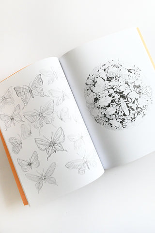 Leila Duly's Beautiful Planet: An Intricate Coloring Book