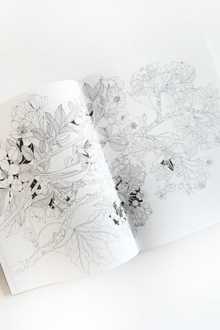 Leila Duly's Walk in the Woods