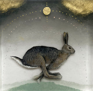 Lepus