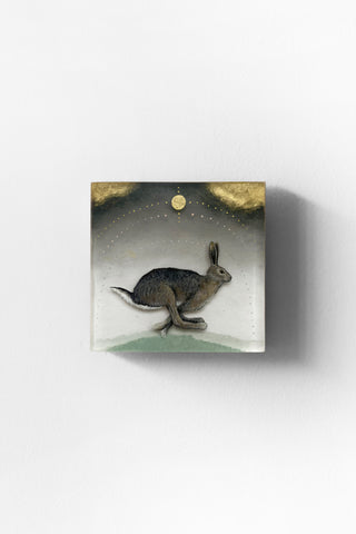 Lepus