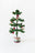 Light Up Christmas Tree