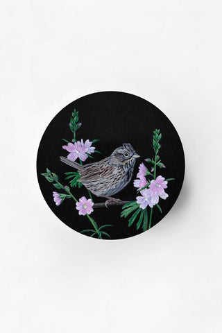Lincoln's Sparrow & Checkermallow
