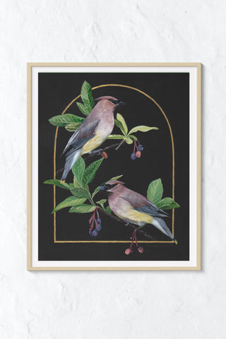 "Little Bandits" Cedar Waxwing Art Print