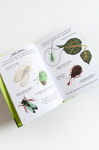 Little Guides to Nature