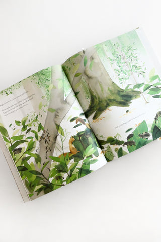 Little Sap: the Magical Story of A Forest Family