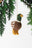 Mallard Duck