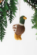 Mallard Duck
