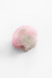 Scallop Shell