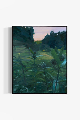 Milkweed and Fireflies