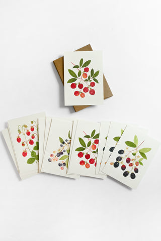 Mixed Berries Greeting Card Set