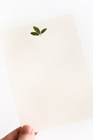 Mixed Berries Greeting Card Set