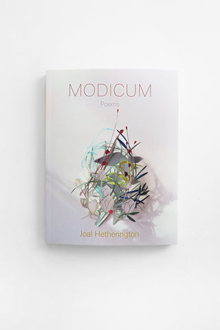 Modicum Poems