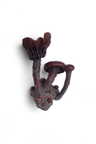 Mushroom Island I