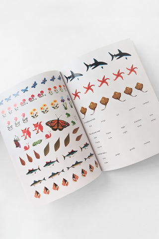Nature Activity Book