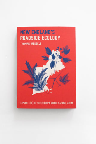 New England’s Roadside Ecology